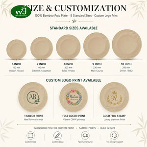 Assiettes en papier de pulpe de bambou VVG, jetables, biodégradables, écologiques, <span class=keywords><strong>prix</strong></span> d'usine pour les fêtes, les barbecues, les pique-niques, la restauration - Product Image 3