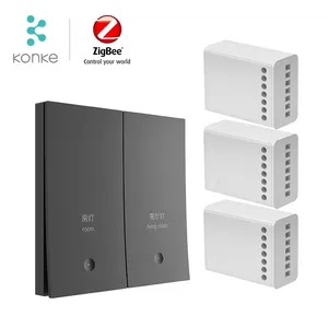 Zigbee 스마트 라이트 미니 스위치 무선 제어 2 갱 라이트 모듈