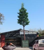 Tour de télécommunication 4G 5G en acier galvanisé à chaud, type Bionic Tree Tower, avec antenne camouflage en forme de pin artificiel