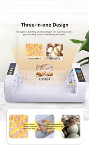 Wonegg mới dẫn 24 gà ấp trứng gà lồng ấp trứng lồng ấp tự động - Product Image 5