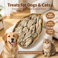 Friandises lyophilisées de calmar Paitei en gros pour chats et chiens - Riches en protéines, sans céréales