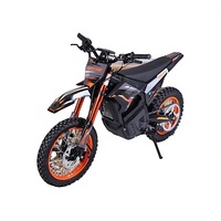 Véhicule tout-terrain électrique exclusif transfrontalier de Chine, moto à batterie lithium 48V 1000W, 50 km/h, pour extérieur et plage