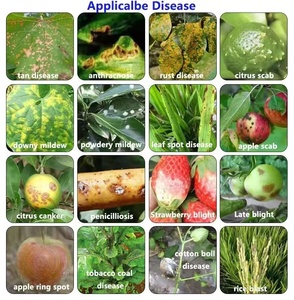 <span class=keywords><strong>Idrossido</strong></span> di Rame 50% WP, Vendita Diretta dal Produttore, Fungicidi Agricoli per Alberi di Cacao, Ortaggi, Frutta e Colture - Product Image 3