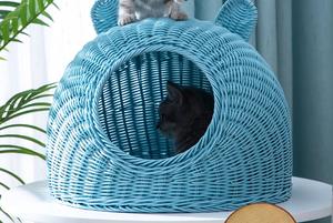 100% panier en rotin naturel fait à la main lit pour animaux sans produits chimiques Art populaire Style européen conception personnalisée nouveauté cadeau - Product Image 4