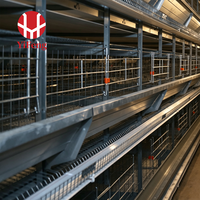 Système de cages automatiques en acier de type H pour l'élevage de poulets pondeurs – Équipement avicole pour économiser le travail et améliorer la production d'œufs