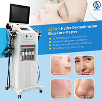 12 in 1 Mesin - Produk Terbaru Terlaris Kelas Profesional dengan Peremajaan Kulit & Pembersihan Mendalam untuk Salon