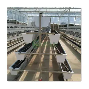 Dependable Performance Hydroponics PVC Square Green House System NFT With Nutrients System