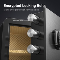 Caja Fuerte de Seguridad Electrónica Profesional de 300 mm de Alto x 380 mm de Ancho con Sistema de Puerta Anti-robo