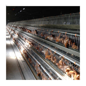 قفص الدجاج بأربعة طبقات من النوع سهل التركيب بشبكة سلكية بسيطة ، قفص الدجاج لمزرعة الدواجن - Product Image 6