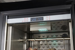 Rundvlees Aging Kast Droge Ager Koeler Met Rvs 304 Top Sales - Product Image 4