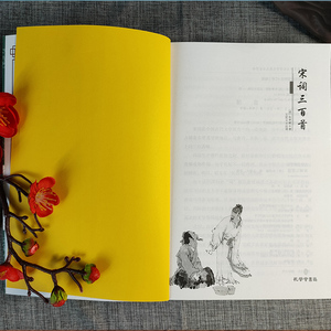 Collection complète de 300 <span class=keywords><strong>poèmes</strong></span> Song Ci, non abrégés, annotés, pour la lecture extra-scolaire des élèves du primaire et des enseignants, de style ancien - Product Image 4