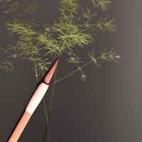 Stylos de luxe pour usage professionnel et corporatif