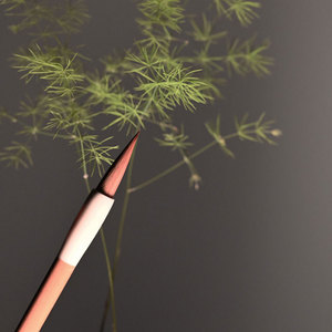 Ensemble cadeau <span class=keywords><strong>de</strong></span> luxe : plume à plumes <span class=keywords><strong>et</strong></span> <span class=keywords><strong>encre</strong></span> <span class=keywords><strong>de</strong></span> calligraphie - Product Image 2