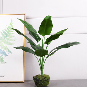 Planta Artificial de Hoja de Plátano Xinxier para Interiores/Exteriores, 60 cm, Decoración de Plástico y Tela con Maceta para Hogar u Oficina (Larga Duración) - Product Image 6