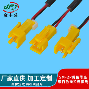 Jfs Golden Peak Sensor Extension Cable 2 Pin Sm2.54 Terminal Wire For Remote Control Toy Car Connection - Product Image 3