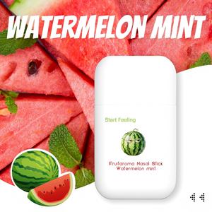 Verschiedene Fruchtduft OEM Bestseller Kräuter-Naseninhalierer Energie Bester Nasenstau-Löser Naseninhalierstift für Körperpflege - Product Image 2