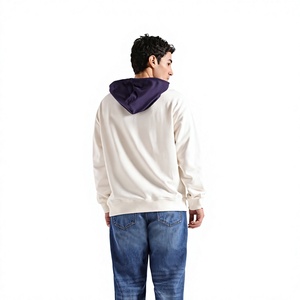 Sudadera con Capucha para Hombre, Corte Regular, Estilo Urbano, Invierno, Felpa Suave, Impresión de Logotipo Personalizado, Anti-Pilling, Bolsillo, 300g, 100% Algodón - Product Image 2