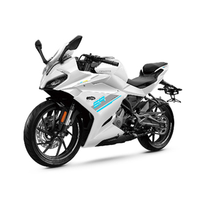 Moto Spring Breeze 250SR-FUN, Nuova Moto da Corsa Imitazione Auto, Autoportante, in Vendita, Cilindrata 250cc - Product Image 4