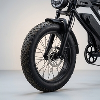 Vélo électrique tout-terrain à pneus larges pour adultes, Stealth Bomber 48V 500W, idéal pour la conduite hors route en montagne et les trajets en ville - BE020