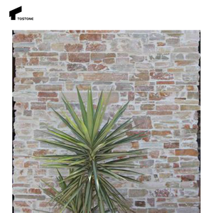 Tostone Chất lượng cao màu be đá vôi đá cẩm thạch tấm Tường bên ngoài văn hóa đá ốp cho biệt thự nhà thiết kế ngoài trời chia - Product Image 1