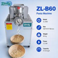 Machine à pâtes multifonctionnelle ZL-B60, machine à nouilles commerciale, moule interchangeable, nouilles creuses, spaghetti, nouilles en forme d'oreilles de chat