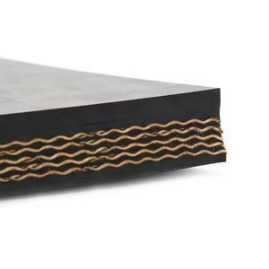 Dây chuyền tải công nghiệp cấp độ EP, độ bền kéo cao, độ dày và chiều rộng tùy chỉnh, phù hợp cho các nhà máy điện và hoạt động khai thác mỏ - Product Image 6