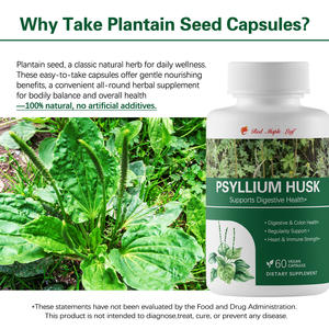 Капсулы с порошком шелухи подорожника |   Концентрированная растительная добавка из Plantago Ovata |   Без ГМО, веганский продукт, для поддержки пищеварения и здоровья кишечника - Product Image 6