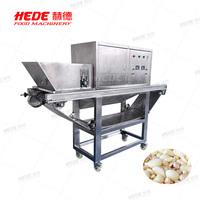 Commerciële 400 kg/uur roestvrijstalen elektrische automatische ketting-aangedreven knoflook-, fruit- en groenteschilmachine met pomp