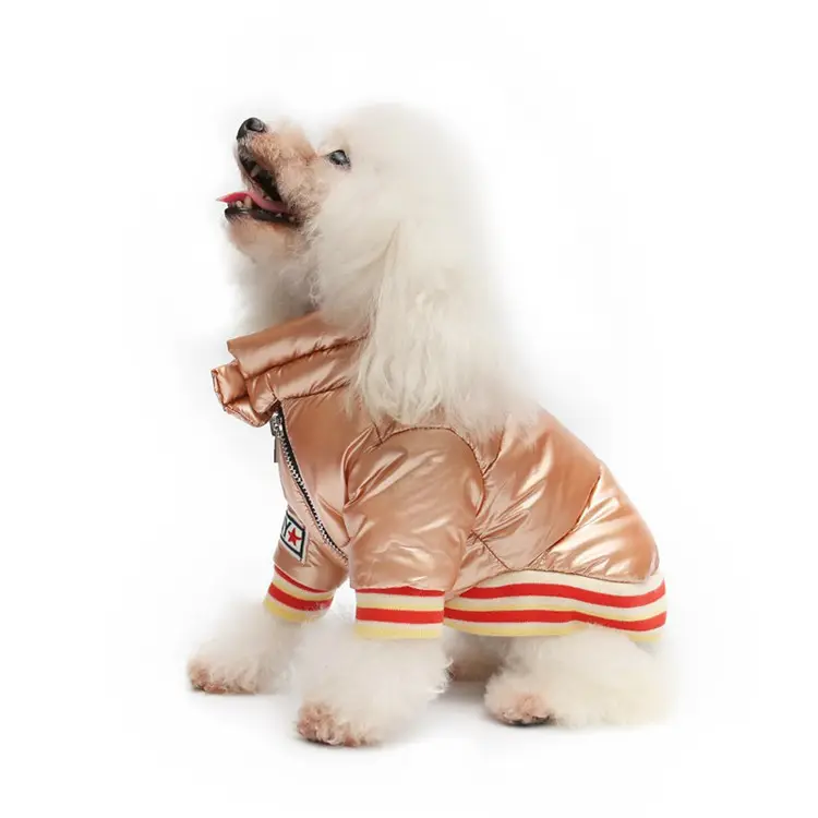 2019 güz kış kalın aşağı ceket evcil hayvan giysileri basit sıcak moda Pet giyim köpek giysileri