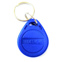 Etiqueta RFID Keyob a Precio de Fábrica, 125khz 13.56mhz 1k T5577 Tk4100, Llavero Inteligente RFID con Etiqueta de Identificación a Prueba de Agua