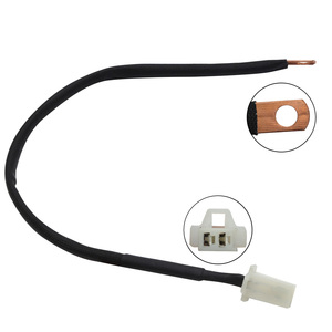 Sensor de Temperatura de Cabeza de Cilindro Tipo Chip Lanmo de 22cm, Nuevo, Accesorio para Motocicleta, Precio de Fábrica, 220325 - Product Image 1