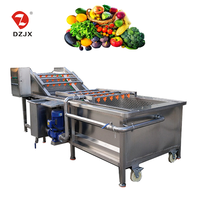 DZJX Volledig Automatische Multifunctionele Wortelgroente Reinigingsmachine voor Maïs/Noten Radijs/Rambutan/Surfing
