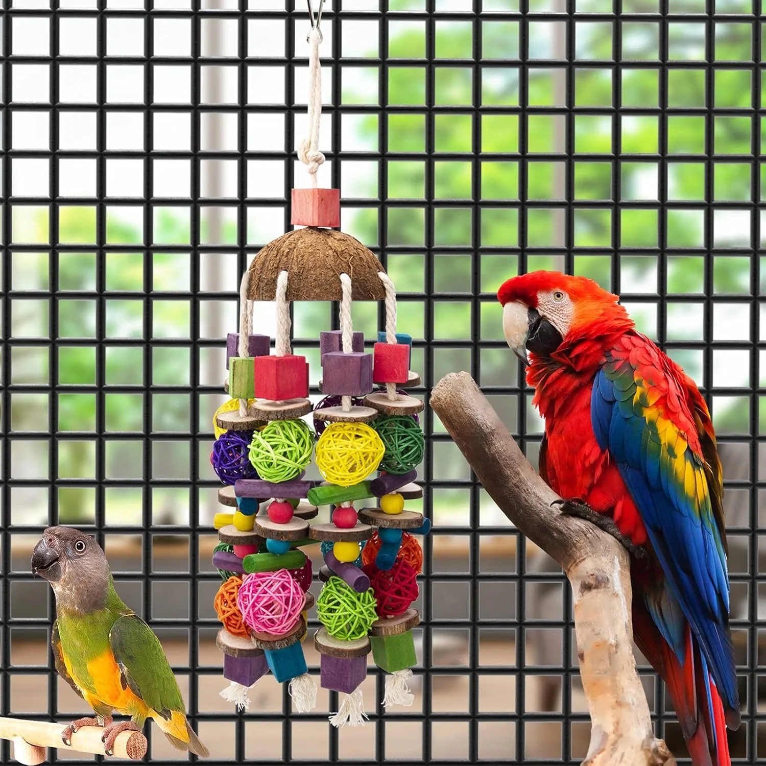 conure bird toys