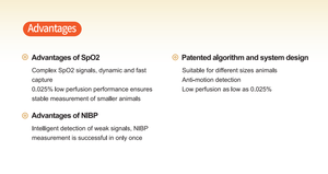 Veterinary Multi-Parameter Monitor SpO2 NIBP Patient Monitor for Dog Cat <b>Animal</b> Clinic Hospital - Product Image 2