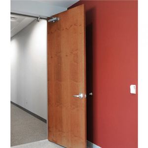 Puerta de Polímero y Madera Opcional con Clasificación de Resistencia al Fuego de 20 Minutos, con Acabado Moderno, Apertura Lateral y Decoración para Uso Comercial Interior - Product Image 6