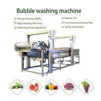 De Volautomatische Lijn Van De Fruitgroenteverwerkingsmachine Omvat Het Wassen Van Het Schillen Van Het Snijden Van Het Drogen-Voor De Kerncomponent Van De Notenmotor