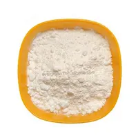 Enzymes Protease Lipase Amylase Enzyme for Detergent