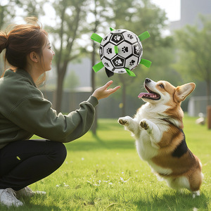 Pelota de juguete para perros, masticable, duradera, para entrenamiento al aire libre, juguete para mascotas, cachorros pequeños y medianos, PVC, patrón de corazón, QW2084 - Product Image 2