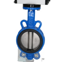 Pince électrique de haute qualité DN100 fonte ductile 304 structure d'angle de plaque en acier inoxydable vanne papillon pneumatique