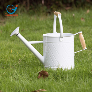 Bán Hàng Trực Tiếp 1.3 Gallon Vườn Nước Có Thể Kim Loại Hoa Tưới Nước Có Thể Nhà Máy Tưới Nước Lon Nước Có Thể Kim Loại Cho Nhà - Product Image 6