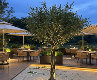 Arbre d'olivier artificiel sur pied, grand format, personnalisé, le plus vendu, pour aménagement paysager, décoration extérieure, maison et centre commercial