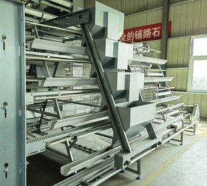 Jaula de batería tipo A para gallinas ponedoras y de engorde, sistema moderno de jaulas para animales, equipo de cría de aves de corral con alambre de hierro galvanizado - Product Image 2