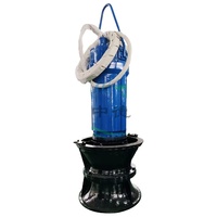 Zhongde Pompe à débit axial hydraulique de 8 pouces submersible pour l'irrigation agricole 2000LPS 50000L/heure Garantie 1 an