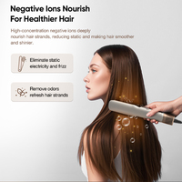 Lisseur-séchoir électrique anti-frisottis à ions négatifs, température constante NTC, 2-en-1 pour cheveux humides et secs