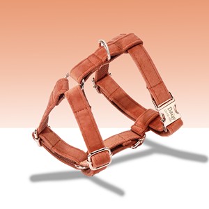 Non Pull Caramel Brown Chaleco personalizado Juego de arnés y correa de perro de terciopelo con soporte para bolsa de caca - Product Image 3