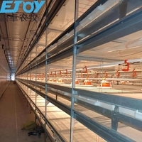 Vente chaude Cage à batterie entièrement automatique pour l'élevage de poulets de chair Grande ferme avicole Capacité de plus de 50 000 oiseaux