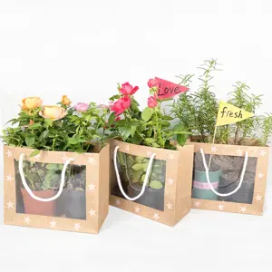 Fabrik benutzer definierte Kraft papier Geschenkt üte Blumen fenster Tasche