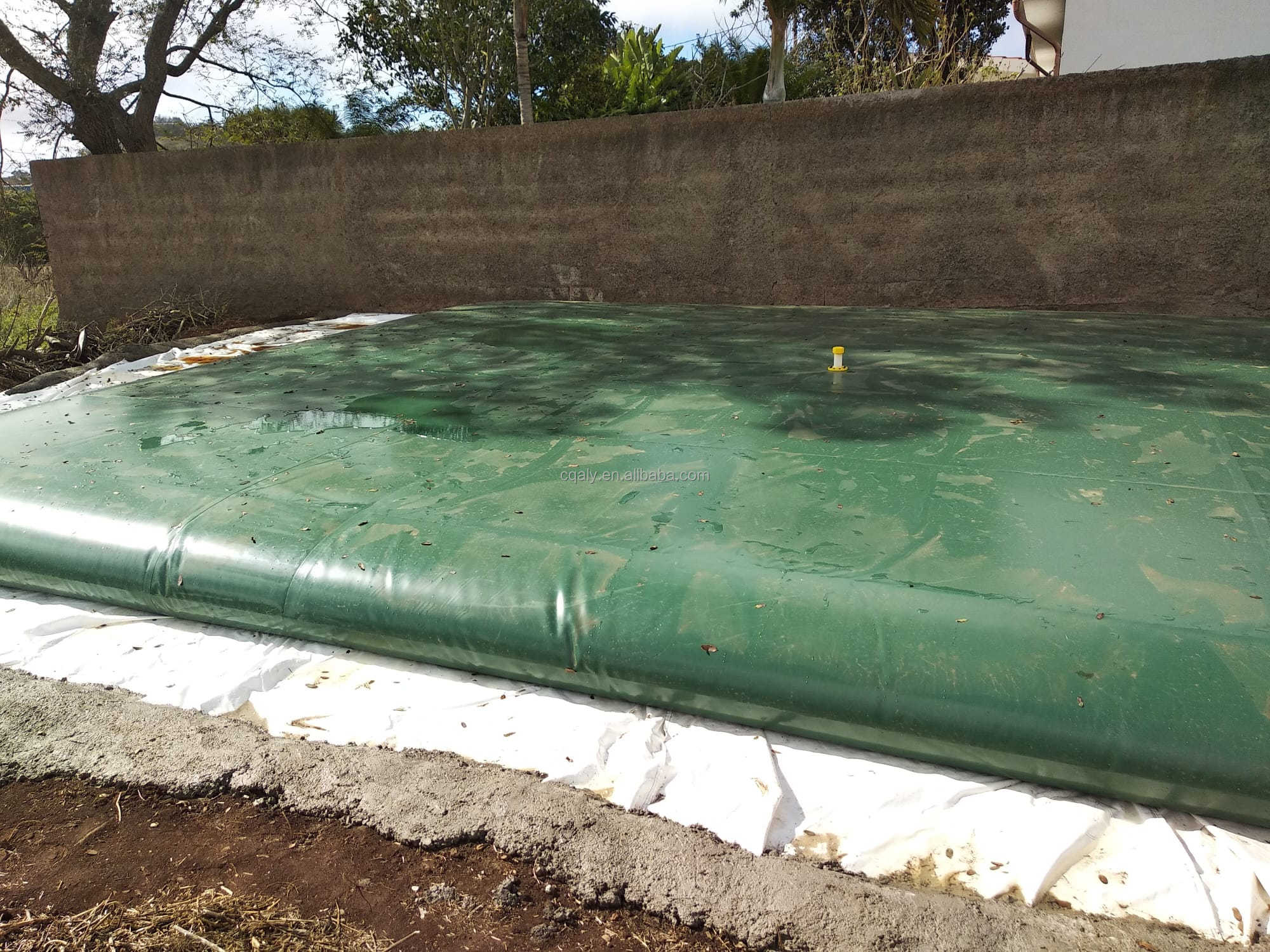Tanque de almacenamiento de agua de cebolla a medida de fábrica Tanque de almacenamiento de agua de PVC suave de 1000l 23