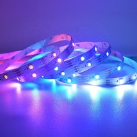 Bande LED RGB adressable SMD5050 DC12V 30 LED 30 Pixels/M 1 LED 1 Coupure Signal de reprise par point de rupture Continuité sans coupure Effets dynamiques