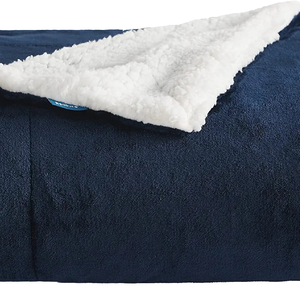 Bedsure Lilac ánh sáng màu tím hoa oải hương tím đôi kích thước flannel lông cừu dệt kim chăn Trọng lượng nhẹ cho sofa đi văng giường cắm trại - Product Image 4